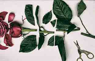 اكتشفت خيانة زوجتي بعد 12 عامًا من الصمت ماذا أفعل الآن؟