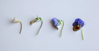 مراحل الحزن ودرجات الشعور بالحزن والأسى