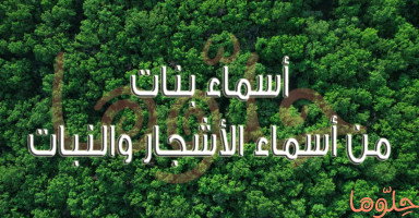 أسماء بنات مستوحاة من الأشجار والنباتات ومعانيها