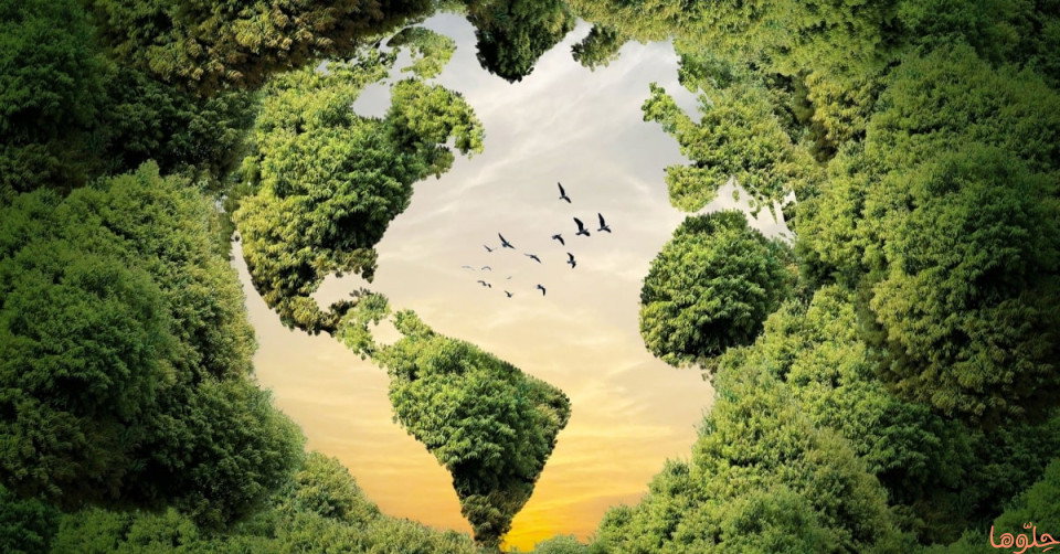 بحث عن علم البيئة (Ecology) وأهم مجالاته وفوائده 