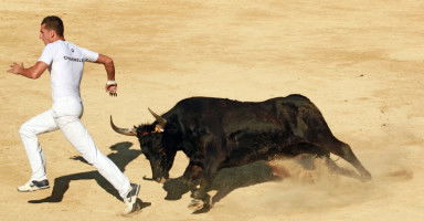 تفسير حلم الهروب من الثور لابن سيرين بالتفصيل