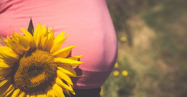 أضرار اللب على الحامل وفوائد البذور في فترة الحمل