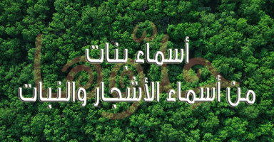 أسماء بنات مستوحاة من الأشجار والنباتات ومعانيها