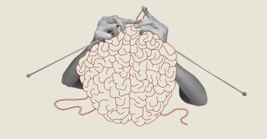 نظرية التعلم المستند إلى الدماغ خصائصها وأساليبها