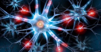 تأثير المخدرات على الدماغ والجهاز العصبي