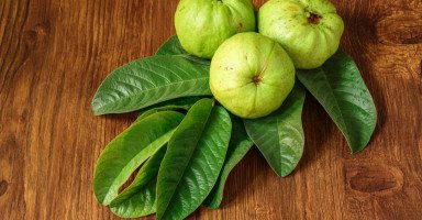 فوائد ورق الجوافة للشعر والبشرة وطريقة استخدامها