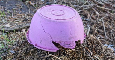 تفسير رؤية الطشت في المنام وحلم طبق الغسيل