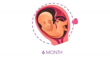 حركة الجنين في الشهر السادس وأسباب زيادة وزن الجنين