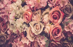 حلم الورود والزهور وتفسير رؤية الورد في المنام