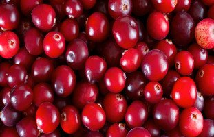 فوائد التوت البري Cranberries وأهم عناصره الغذائية