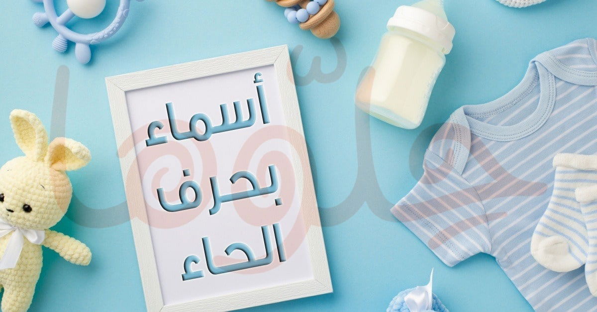 سيارة بحرف الحاء: استكشاف الخيارات والأنواع والمميزات