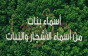 أسماء بنات مستوحاة من الأشجار والنباتات ومعانيها