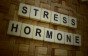 هرمونات القلق والتوتر وتأثير الهرمونات على النفسية