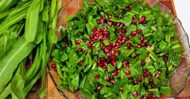 سلطة الهندباء