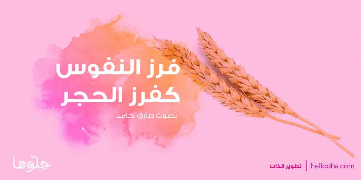 أبو العتاهية فرز النفوس بصوت طارق حامد